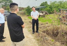 县政协社法民宗委开展油菜秸秆禁烧与综合利用情况调研