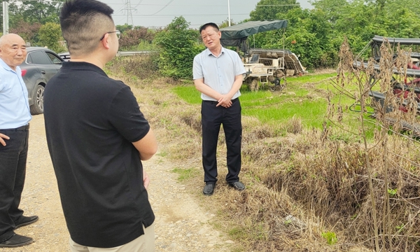 县政协社法民宗委开展油菜秸秆禁烧与综合利用情况调研