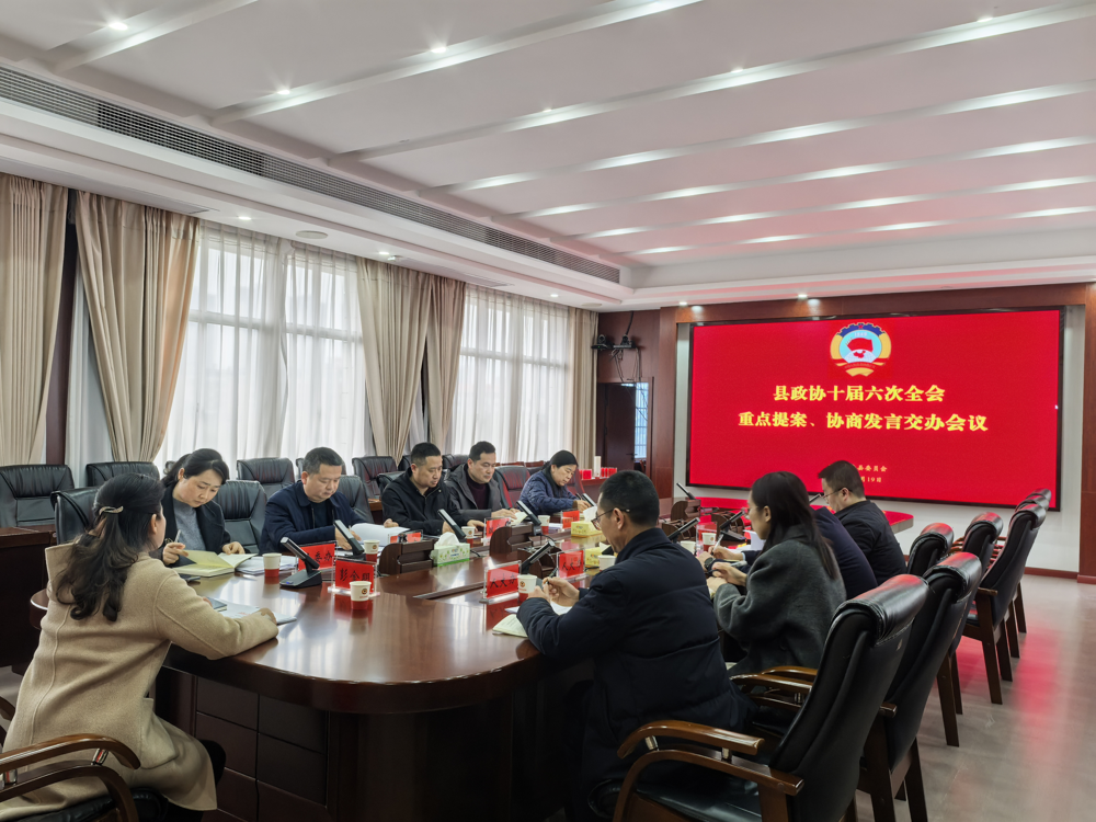 提案和协商交办会2（彭）