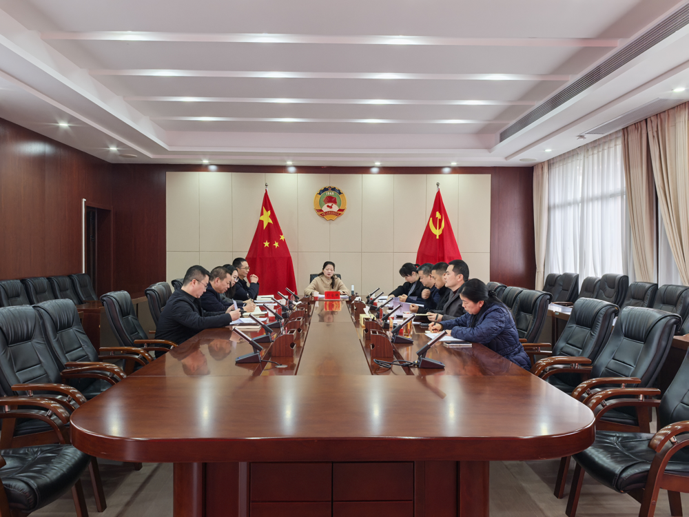 提案和协商交办会（彭）