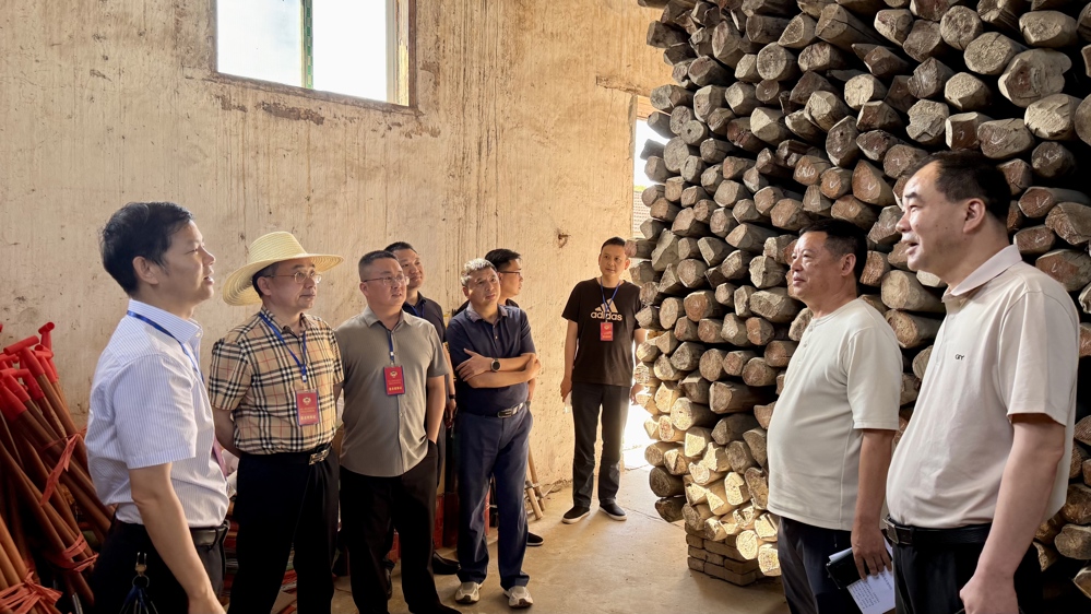 县政协视察防汛备汛工作3